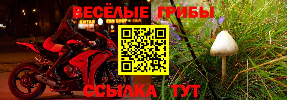 Псилоцибиновые грибы мицелий  Галлюциногенные грибы MAGIC MUSHROOMS  Зеленодольск  Вход с VPN 